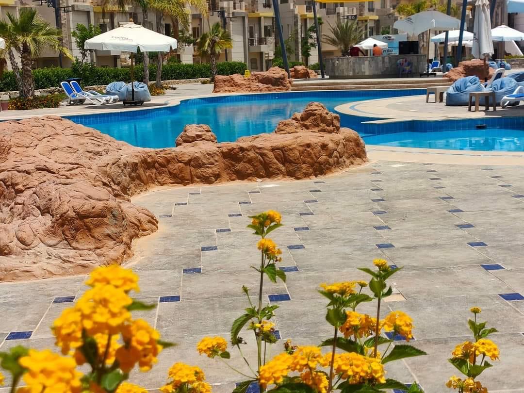 شالية غرفة واحدة متكرر